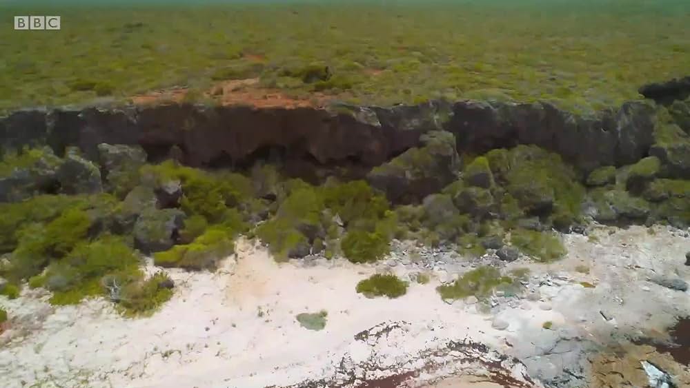 actor Miquita Oliver large photo