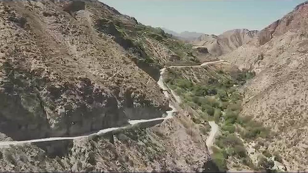 actor Patricia Phillips large photo