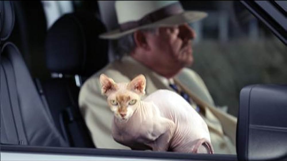 actor Arthur Corber large photo