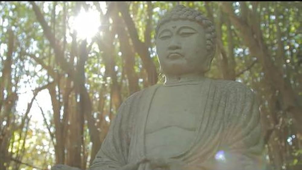 actor Peter Matthiessen large photo