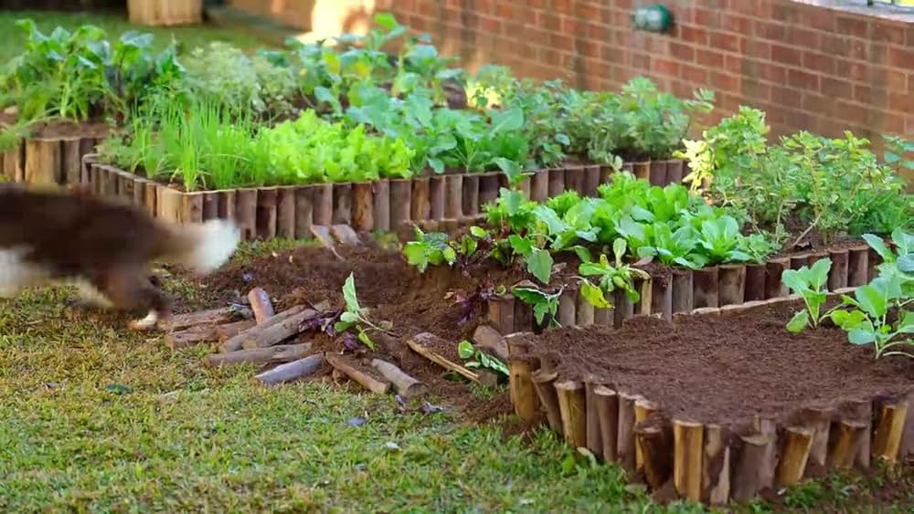 actor Hélio de la Peña large photo