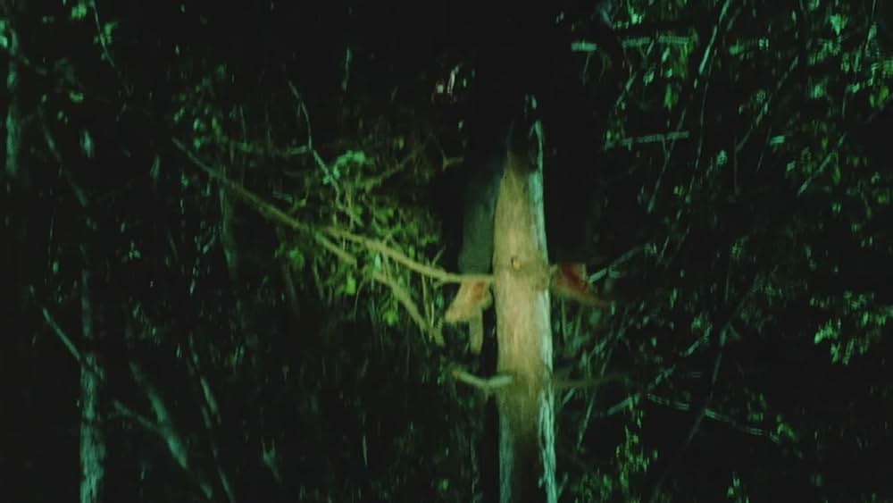 actor Steve Inwood large photo