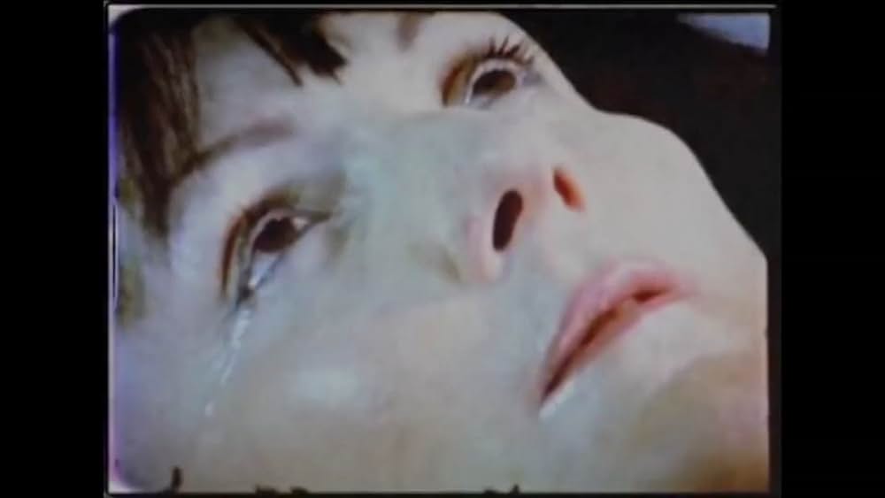 actor Jim Van Bebber large photo