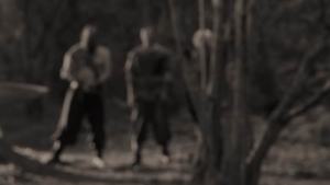 starring avatar