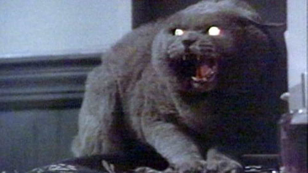 actor Mara Clark large photo