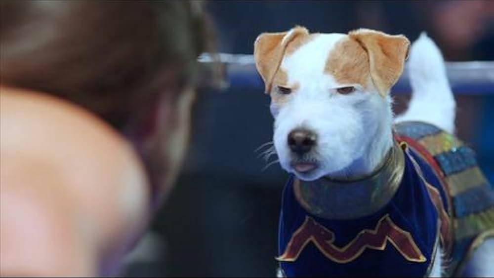 actor James Crescenzo large photo