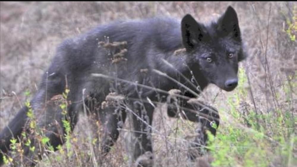 actor Julia Huffman large photo