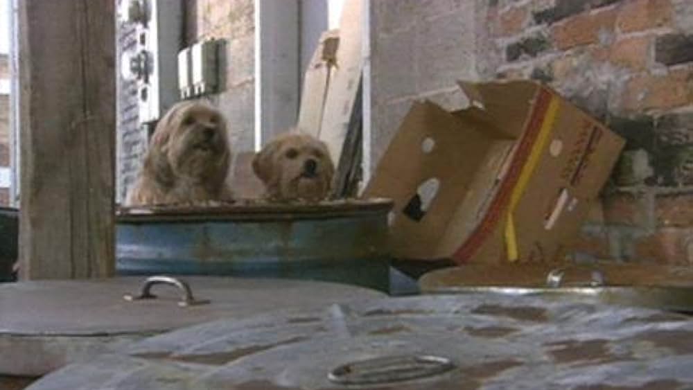 actor Nick Whitaker large photo