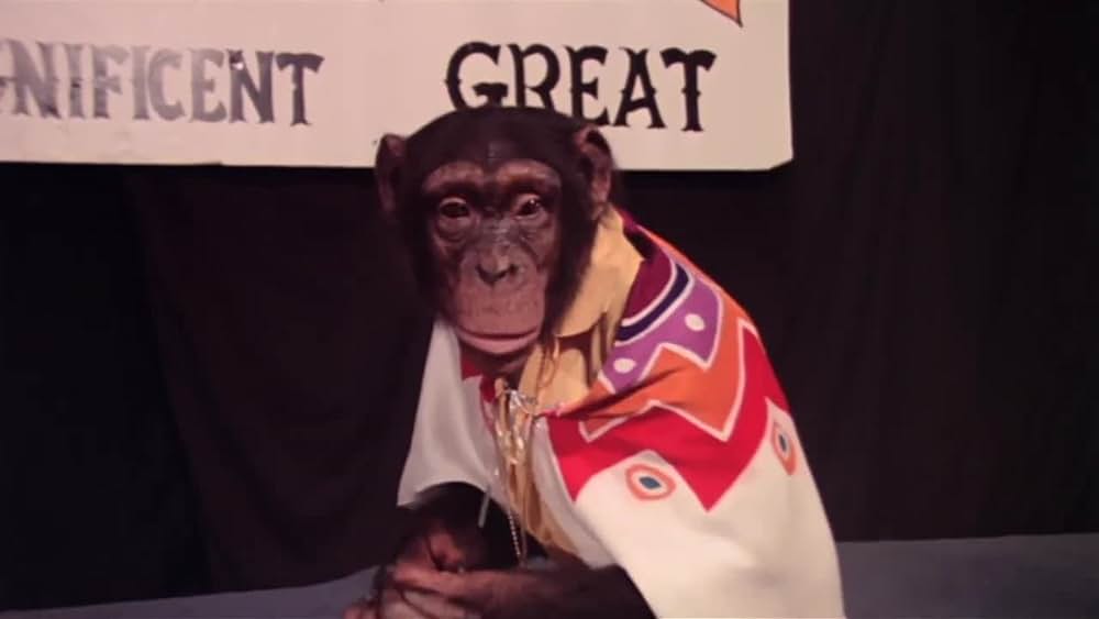 actor Howard Segal large photo