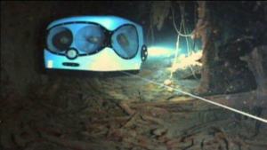 starring avatar