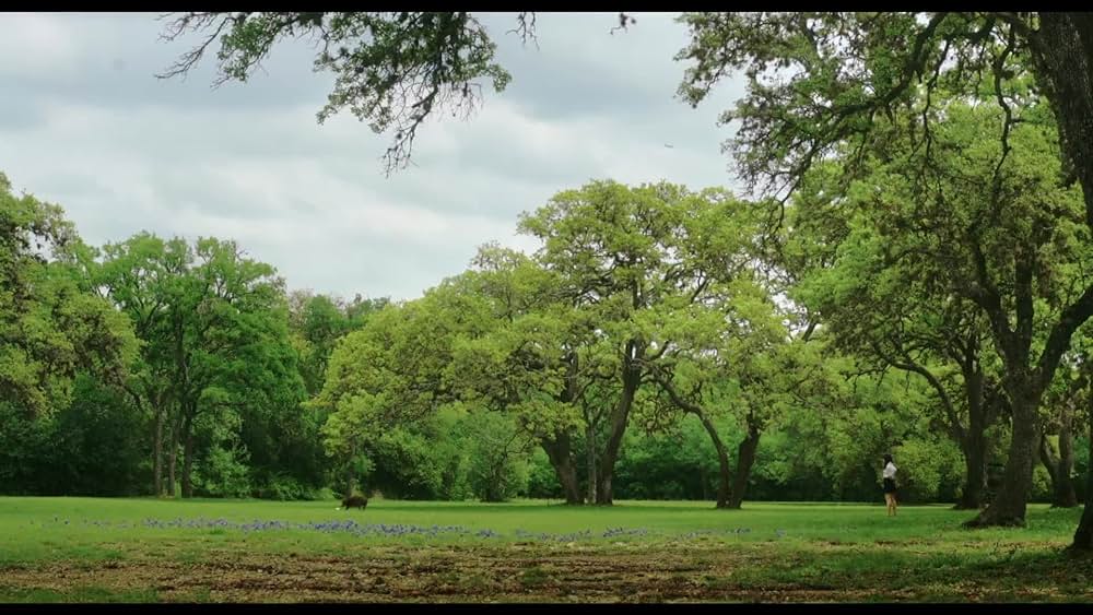actor Vincent James Prendergast large photo