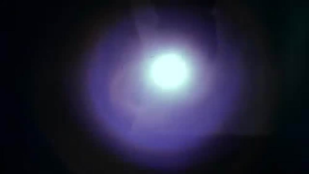 actor Pamela Holland large photo