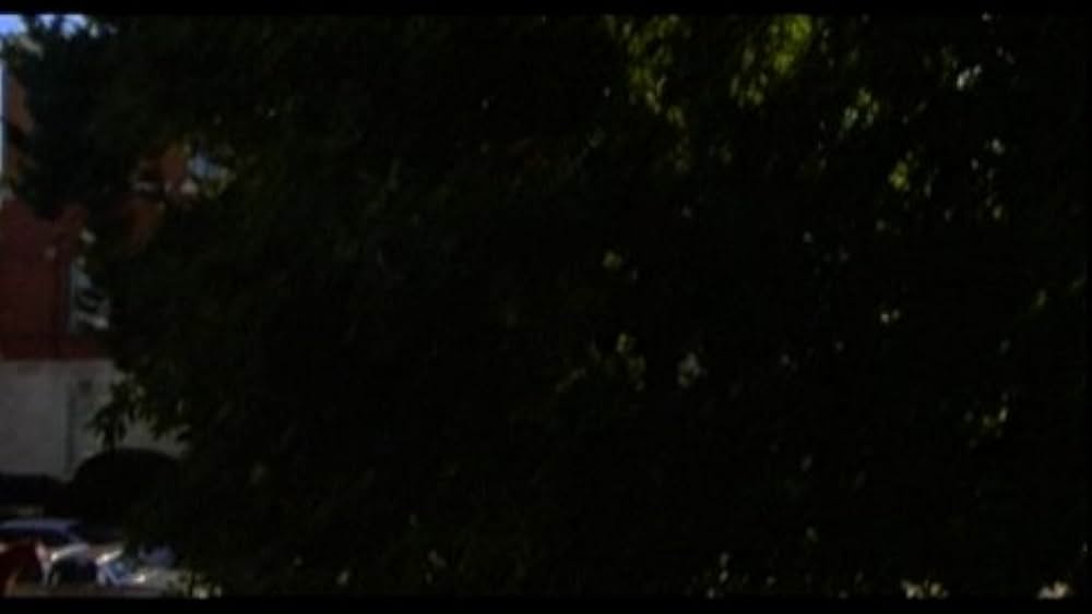 actor Lou Criscuolo large photo