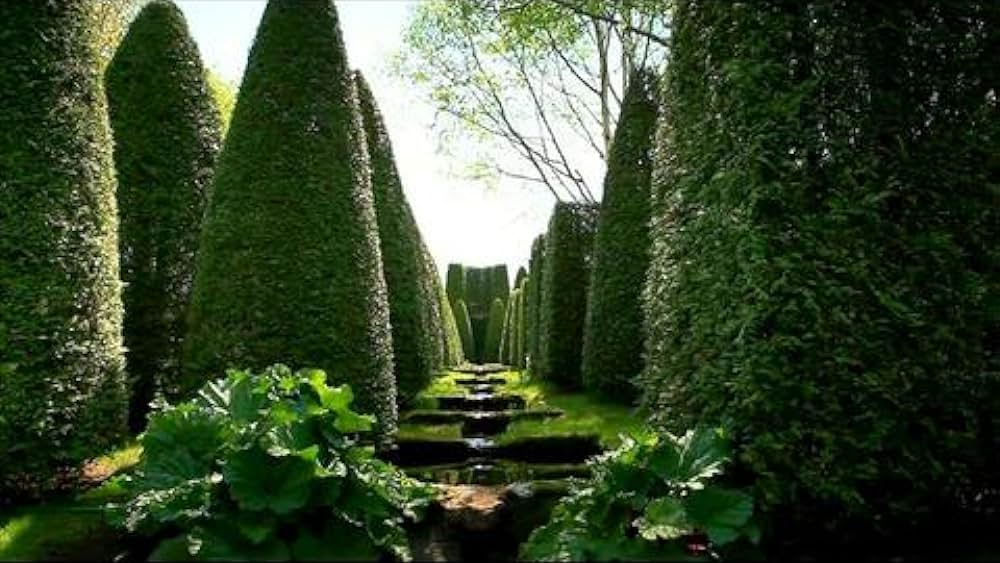 actor Adrienne Clarkson large photo