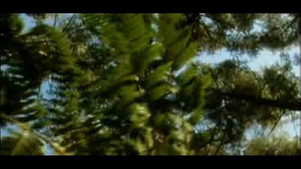 actor Leighton Wise large photo