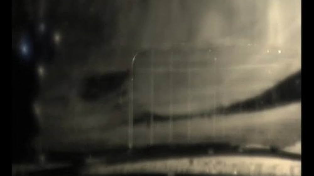 actor Ariella Hirshfeld large photo