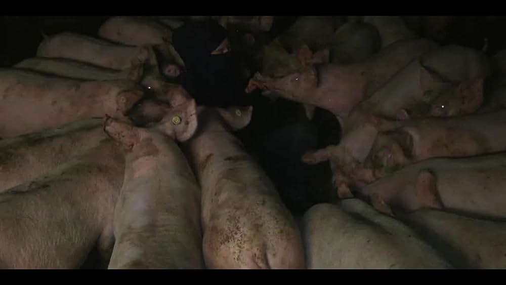 actor Peter Cieslinski large photo