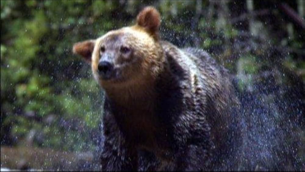 actor Rick Henrickson large photo