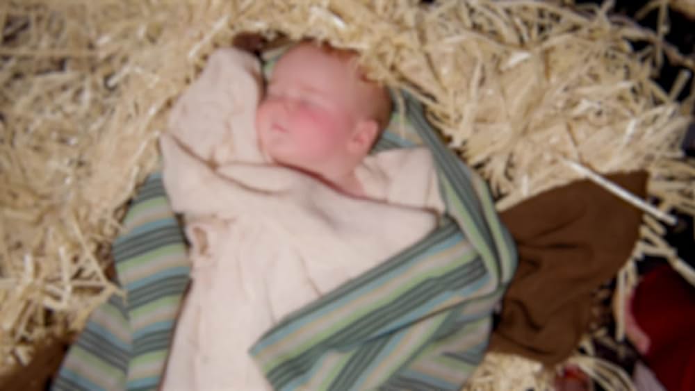 actor Josilyn Campbell large photo