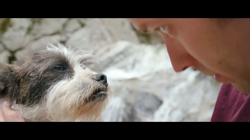 actor Tad Davies large photo