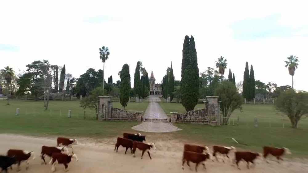 actor Roberto Suárez large photo