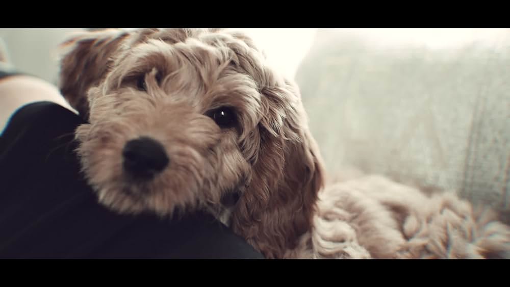 actor David Owen Wright large photo