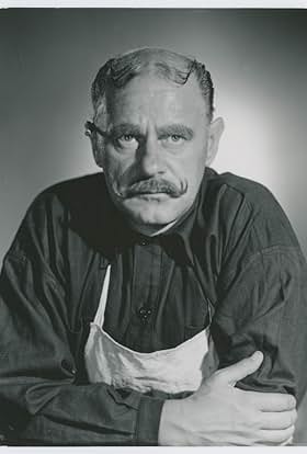 actor Harry Ahlin large photo