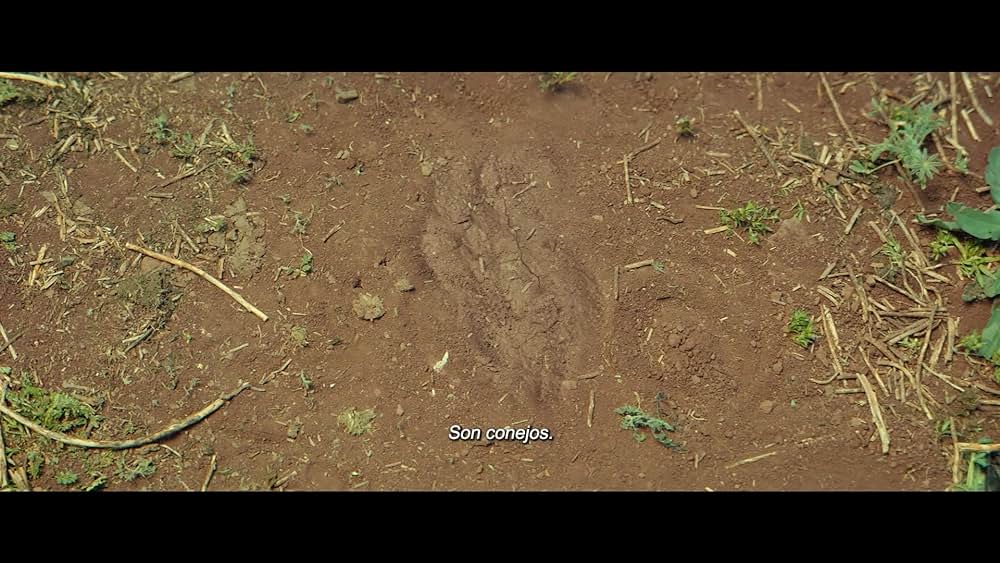 actor Willy Semler large photo