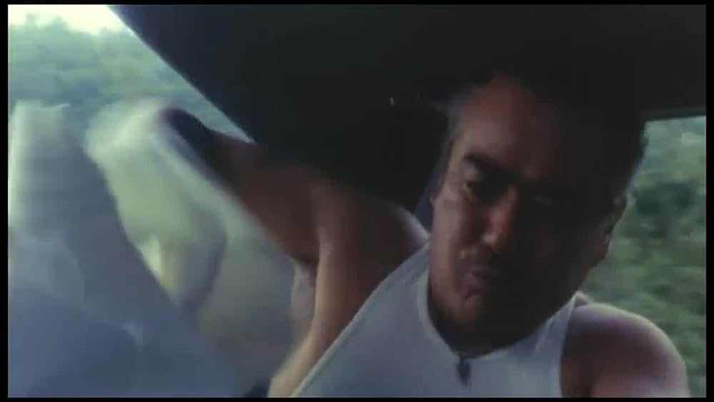 actor Keiko Oginome large photo