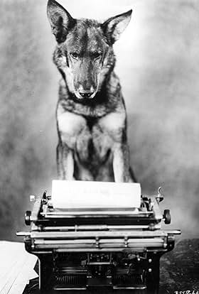 actor Rin Tin Tin large photo