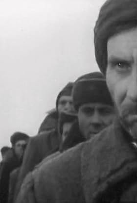 Vladimir Lippart