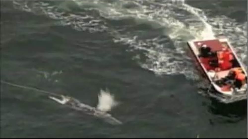 actor Kim Kindersley large photo