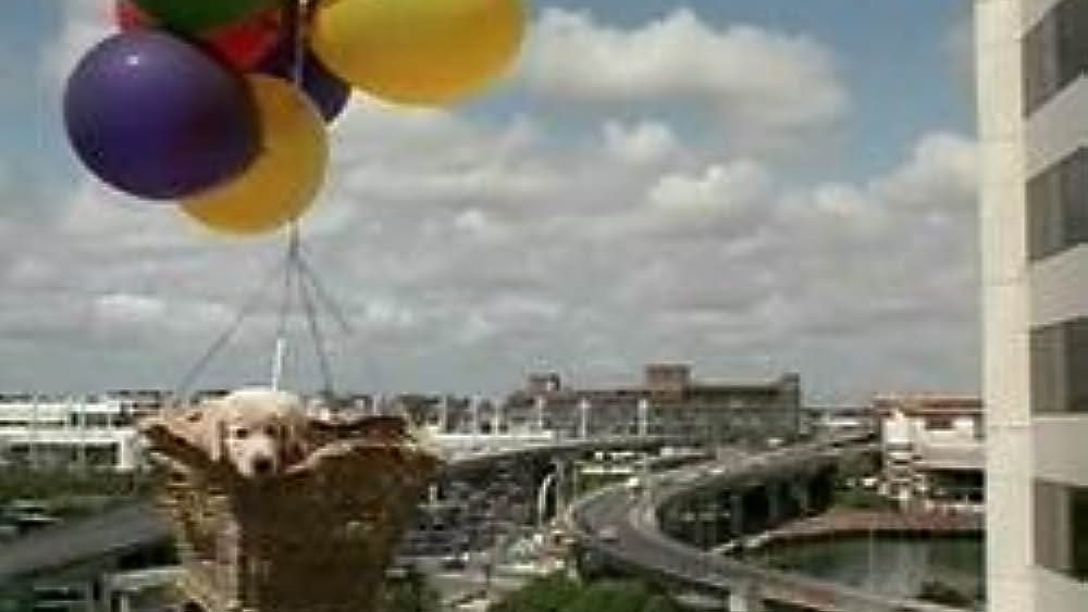 actor Coralie Sawade large photo