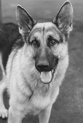 actor Rando large photo