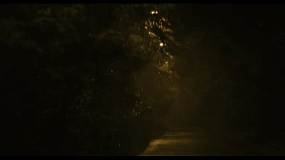 actor Aimee Iacobescu large photo