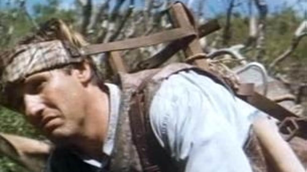 actor Elisabeth Depardieu large photo