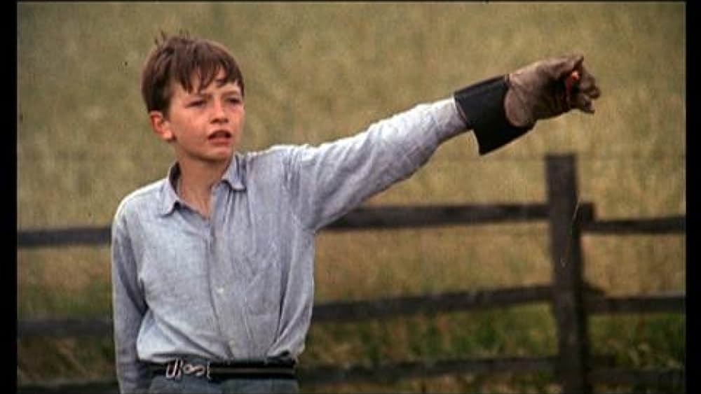 actor Bob Bowes large photo