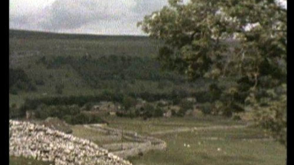 actor Elizabeth Estensen large photo