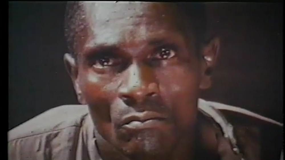 actor Stefano Sibaldi large photo