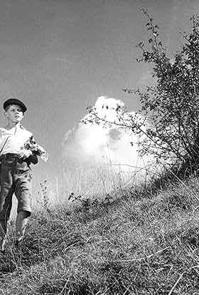 actor Georges Poujouly large photo