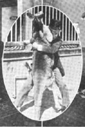 Ethel Teare