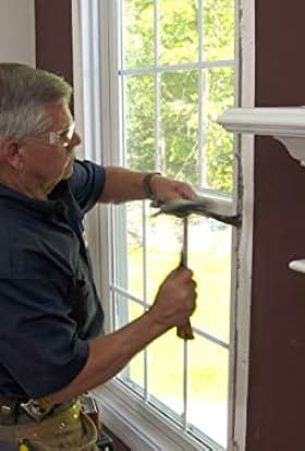 actor Tom Silva large photo