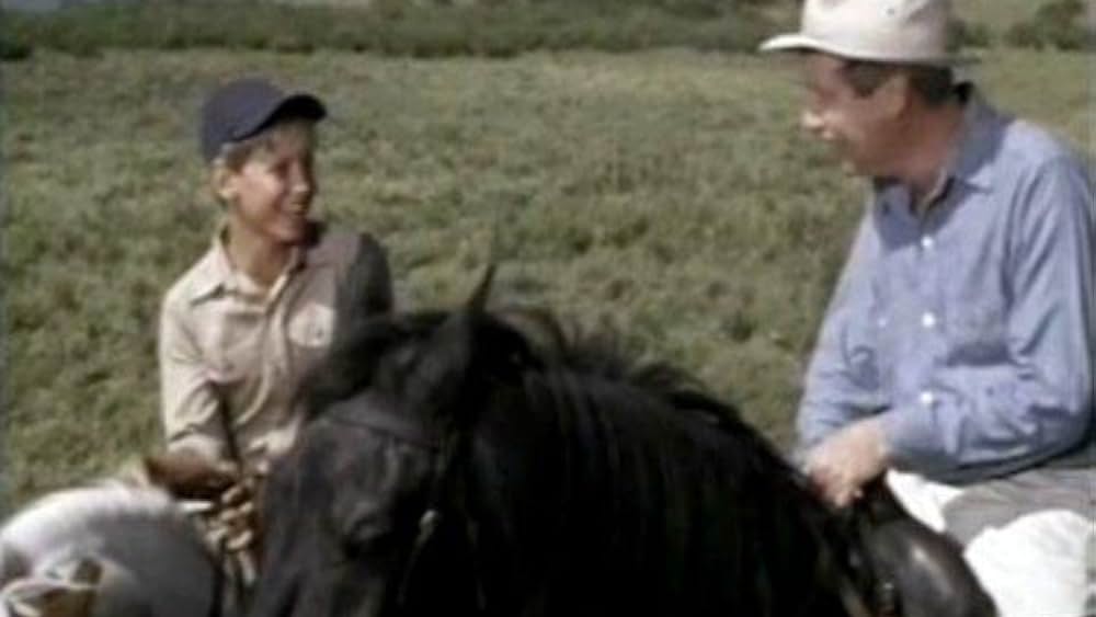 actor Pam Smith large photo