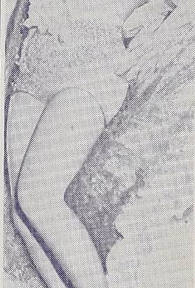 actor Zedra Conde large photo