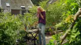 Plien van Bennekom