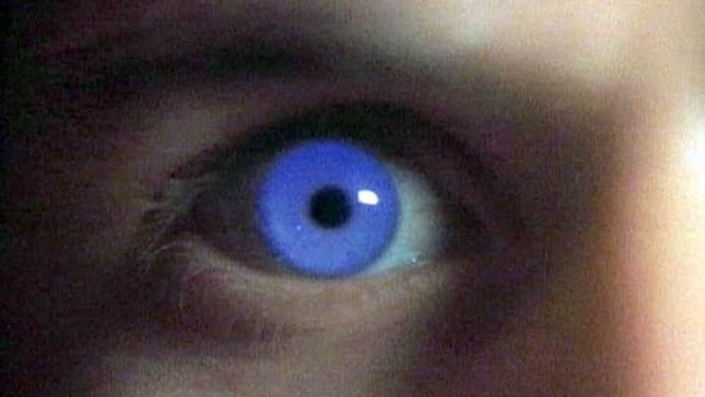 actor Michelle von Flotow large photo