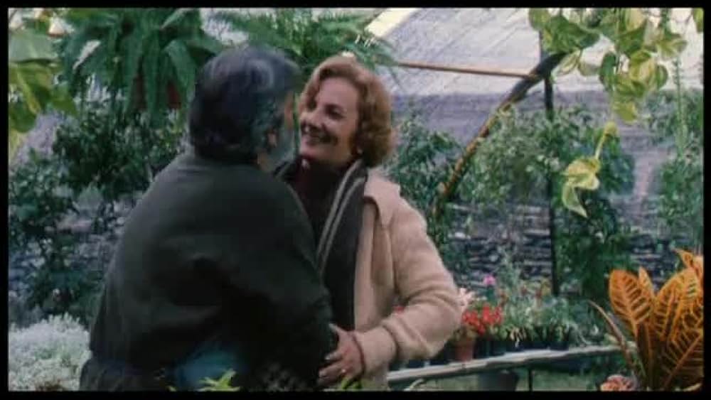 actor Lissete Mejía large photo