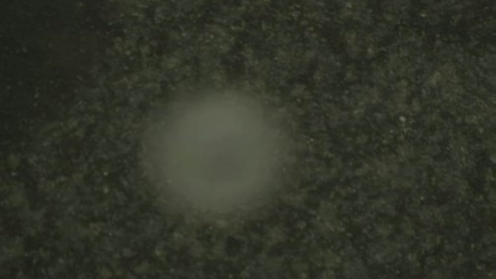 actor Odile Corso large photo