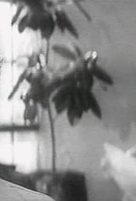 actor Anatoli Fedorinov large photo