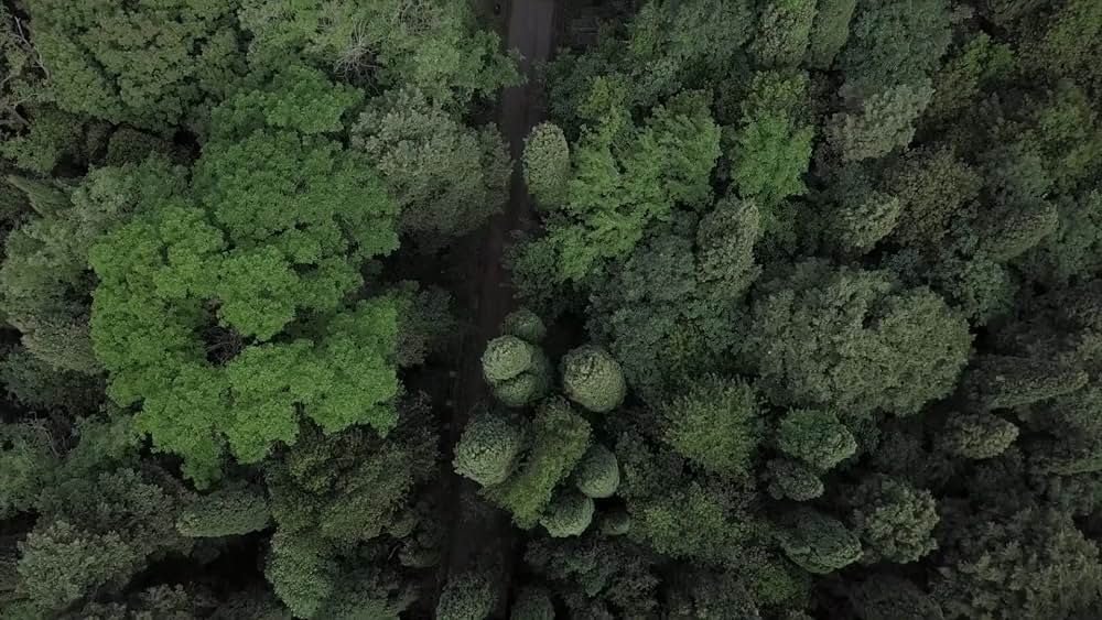 actor Fulvio Falzarano large photo